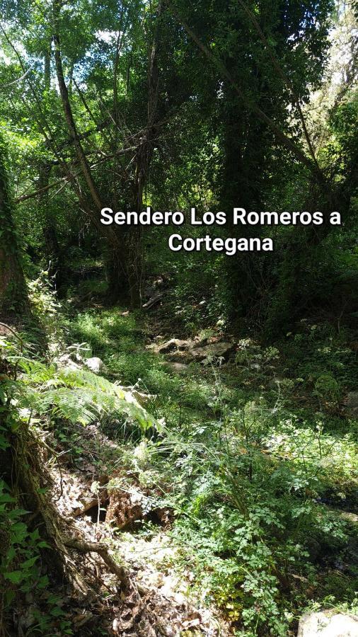 Вилла La Casa Junto Al Sendero Del Rio & Piscina # Aire Acondicionado Лос-Ромерос Экстерьер фото